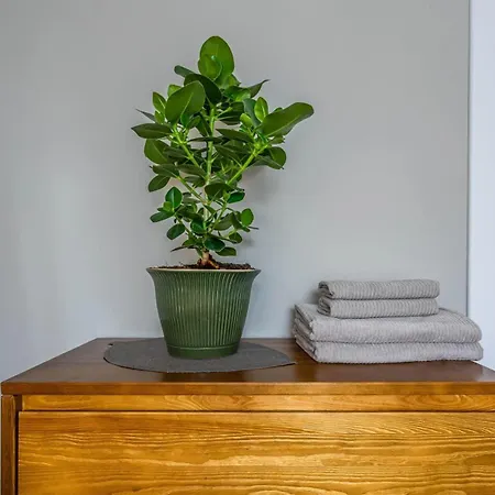 Domillion New Duplex 12ppl Balconies Free Park N2a Apartment