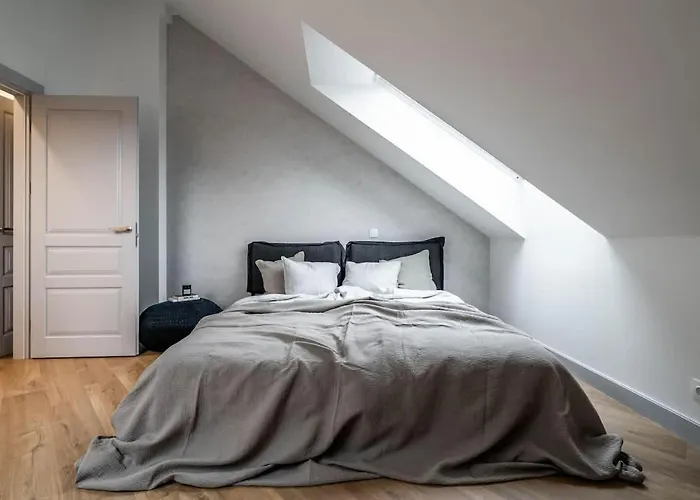 Domillion New Duplex 12ppl Balconies Free Park N2a Vilnius