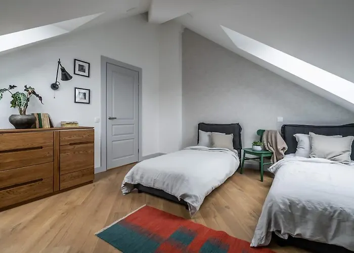 Domillion New Duplex 12ppl Balconies Free Park N2a * ヴィリニュス